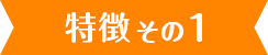 特徴1
